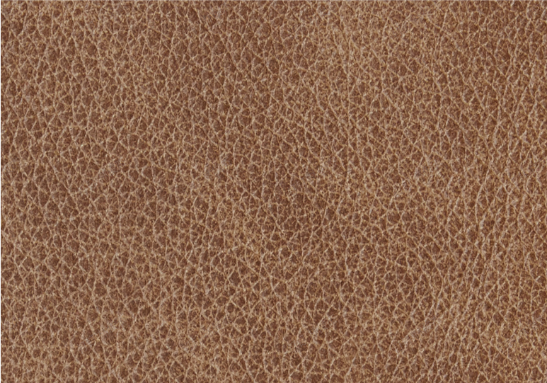 Maxwell 100% Leather Modular Sofa with Chaise